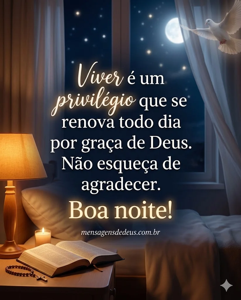 Boa noite! Viver é um privilégio que se renova todo dia por graça de Deus. 