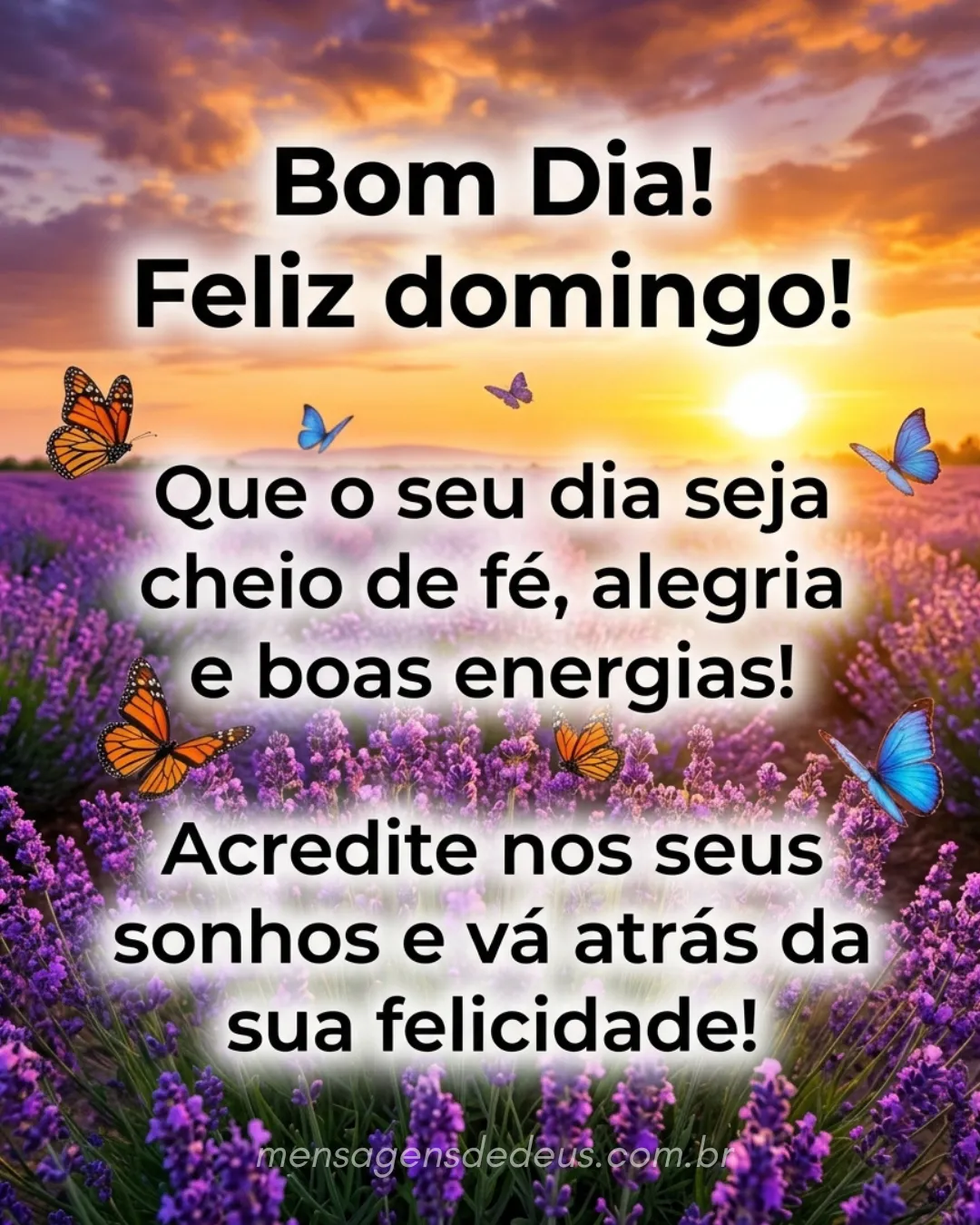 Bom Dia! Feliz domingo! Que o seu dia seja cheio de fé, alegria e boas energias! Acredite nos seus s
