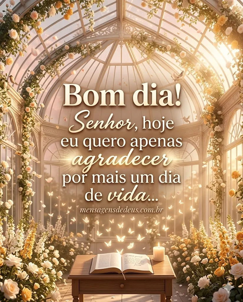 Bom dia! Senhor, hoje eu quero apenas agradecer po