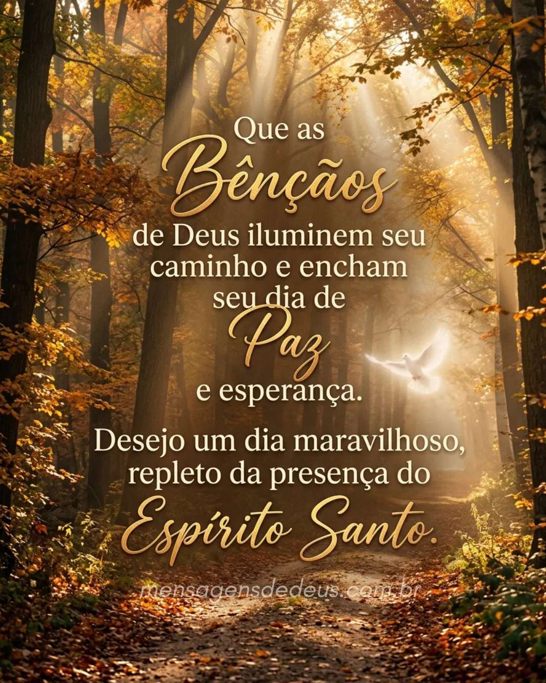 Mensagem de Bom Dia 12