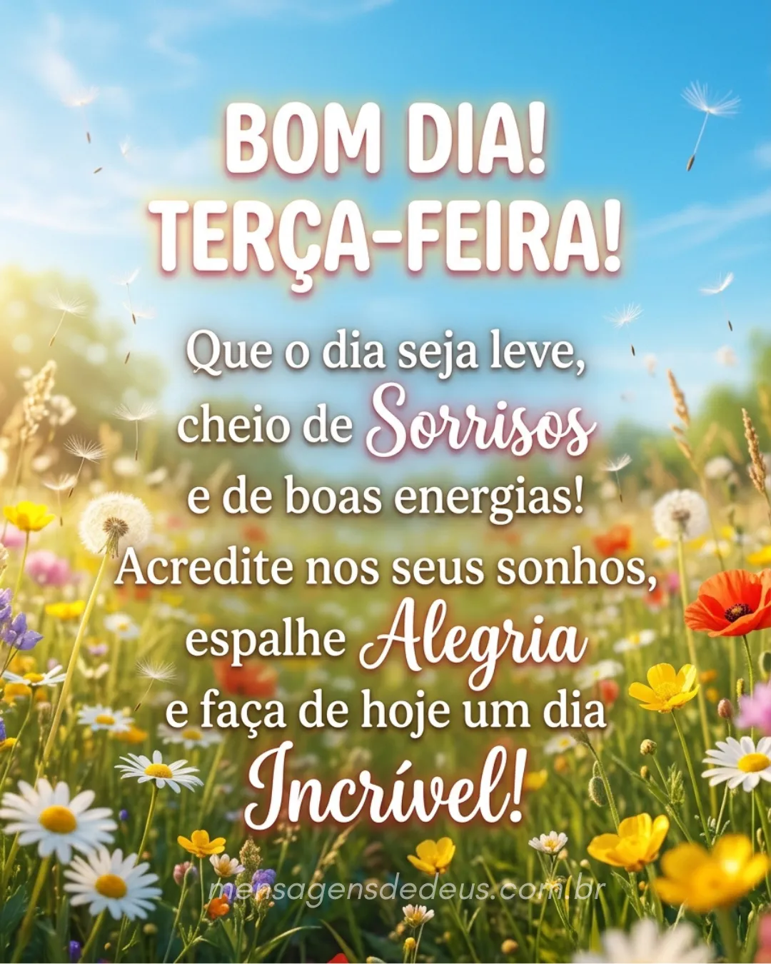 Bom Dia! Terça-Feira! Que o dia seja leve, cheio de sorrisos e de boas energias! Acredite nos seus s