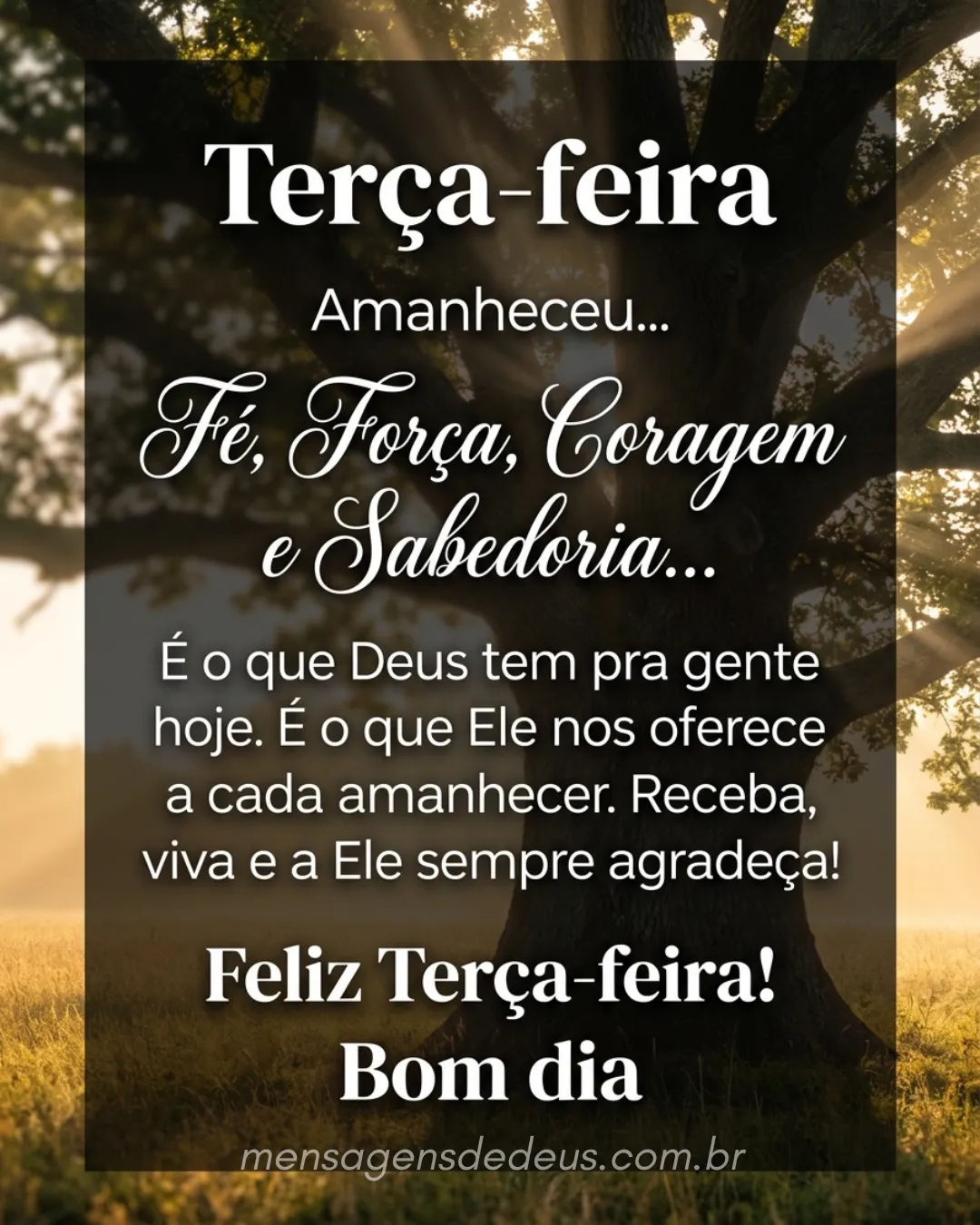 Terça-feira. Amanheceu... Fé, Força, Coragem e Sabedoria... É o que Deus tem pra gente hoje. É o que
